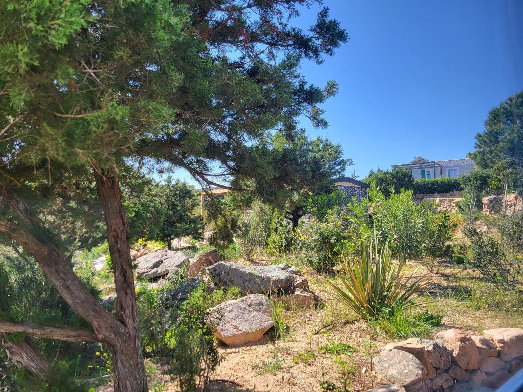 Camping Rondinara Bonifacio  Bagian luar foto